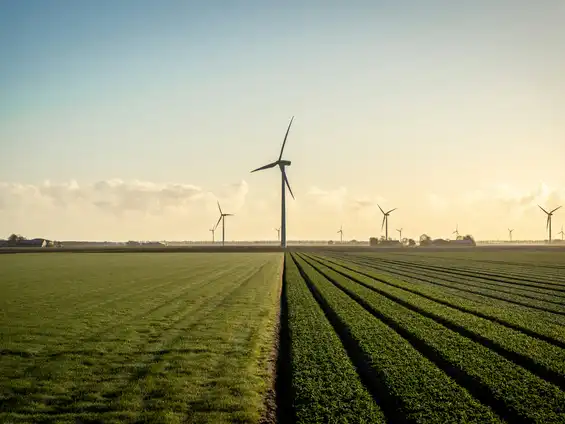 Windräder auf einem Feld